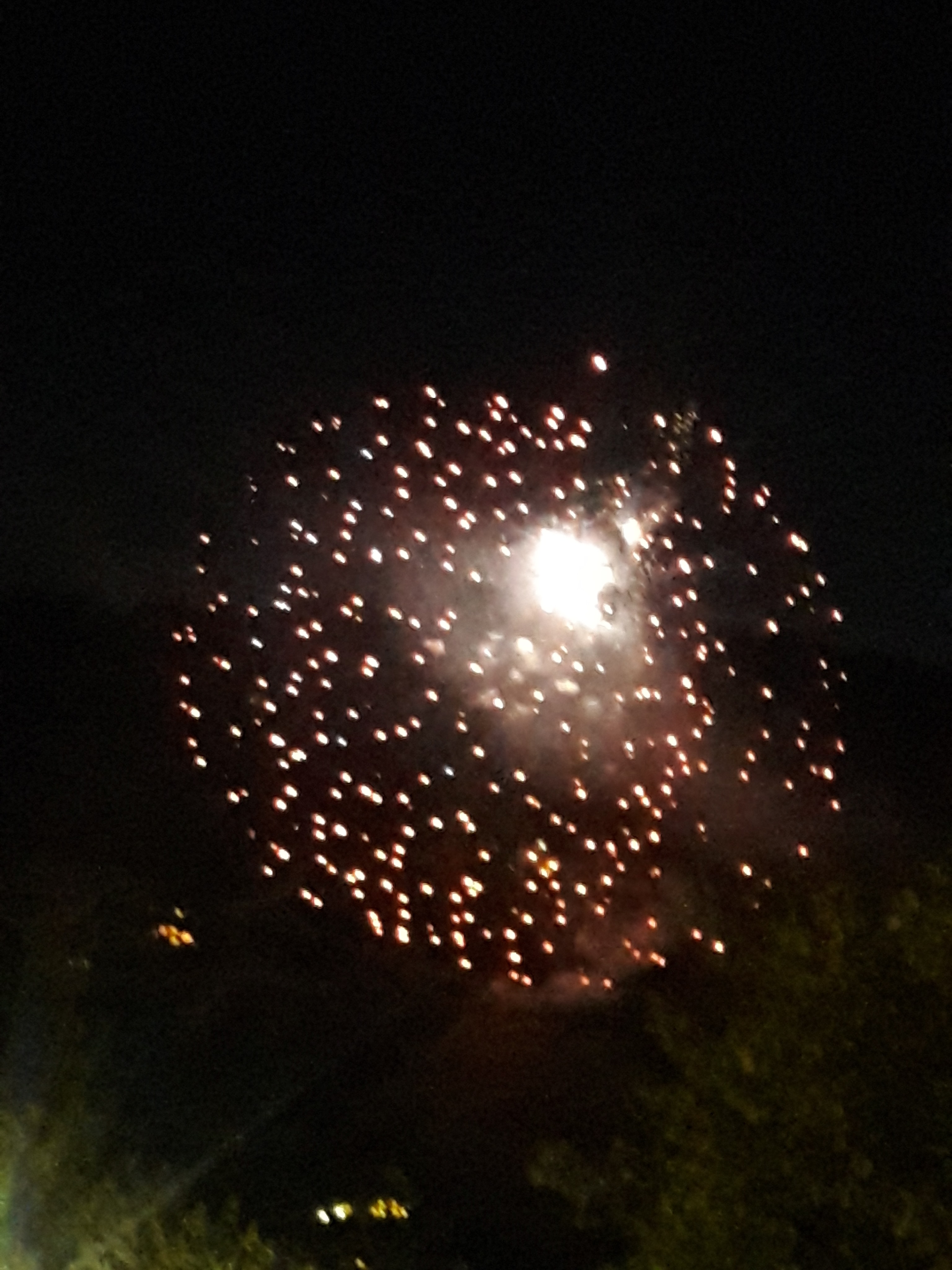 67771690_483462502447517_6746738901496365056_n